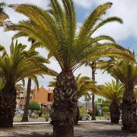 Bonito Apartamento De 1 Dormitorio, En Centro De Los Cristianos Lägenhet Los Cristianos (Tenerife)